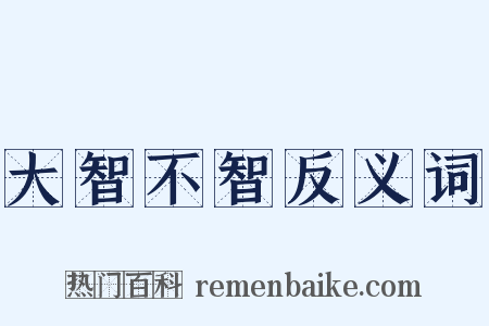 大智不智反义词是什么意思的图片